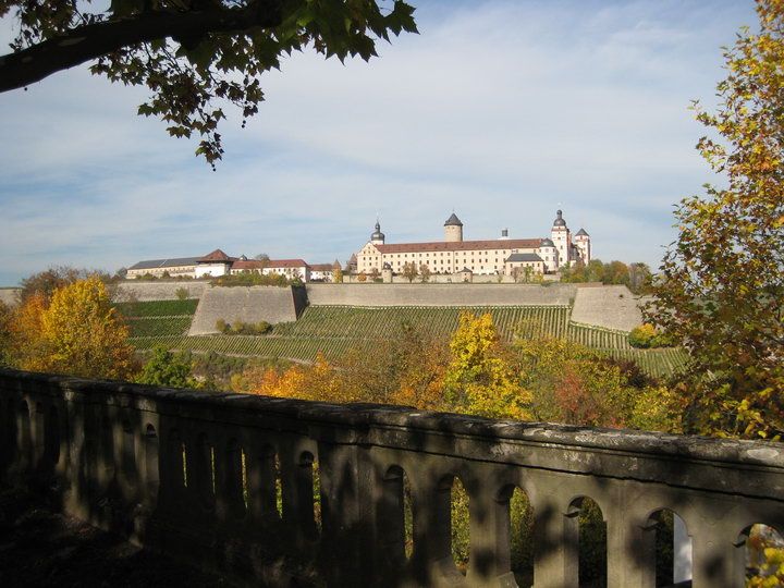 Wrzburg Blick auf die Festung Marienberg